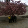 En el 4o patio en el Castillo de Praga, abril 2016